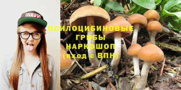 прущие грибы Сосновка