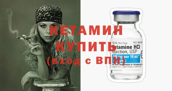 индика Грязовец