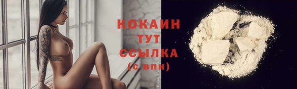 индика Грязовец