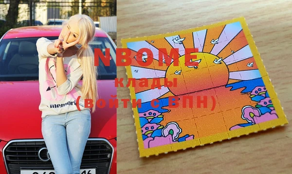 стафф Ростов