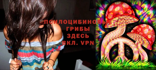 стафф Ростов