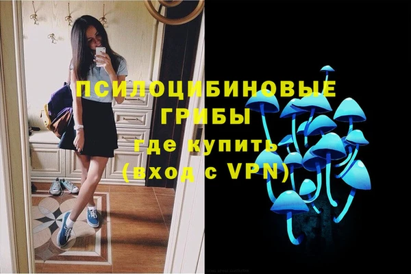 стафф Ростов